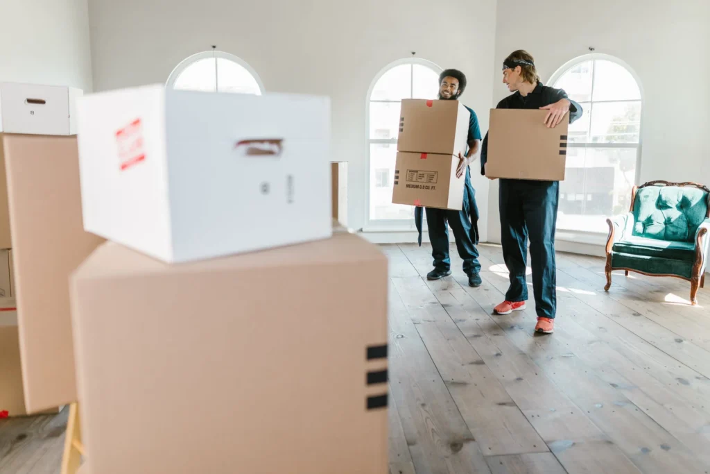 movers holding boxes 